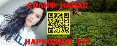 стаф Лесосибирск